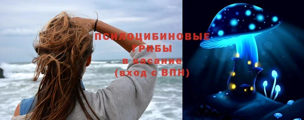 мдма Дмитриев