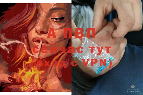 мдма Дмитриев
