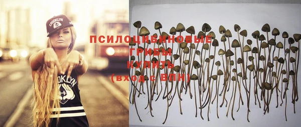 Альфа ПВП Дмитровск