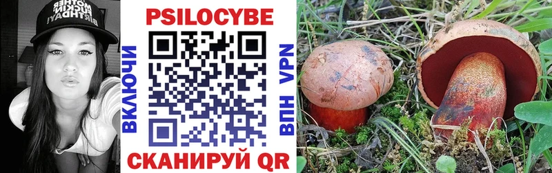 Купить закладки  Черепаново  Галлюциногенные грибы Psilocybe 